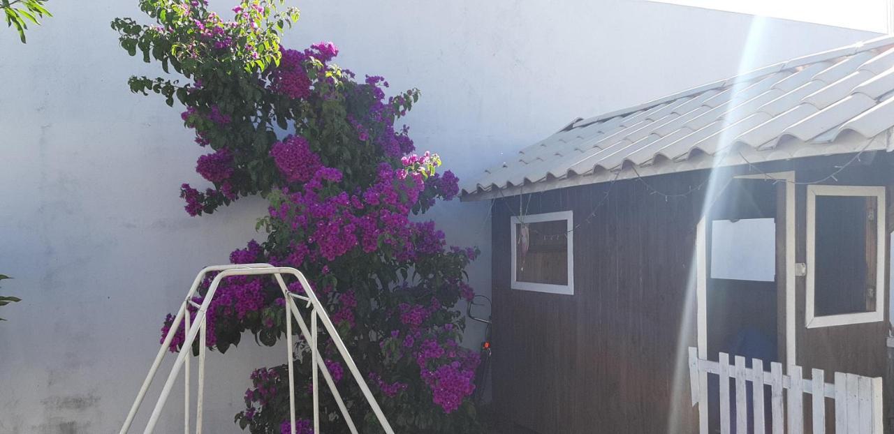 Pousada Cris Garden Bed&Breakfast 포스두이구아수 외부 사진